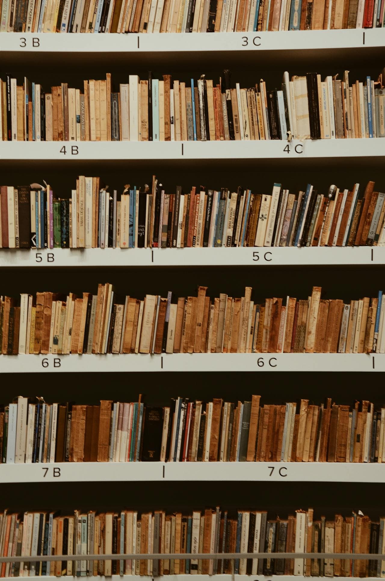 Books filed on book shelves